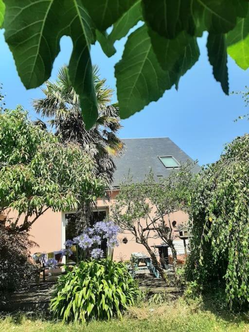La Maison Rose - Avec Grand Jardin Clos A 300M De La Mer Hauteville-sur-Mer Esterno foto